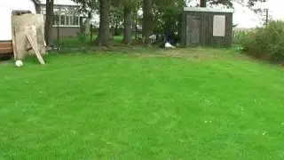 TOO SCARY FOR TV .