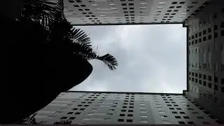 Gabutsss