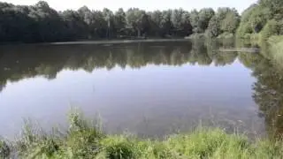 Kieselgur