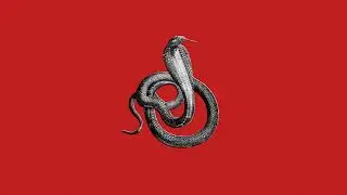 Yodelice - Desert Song (Official Audio)
