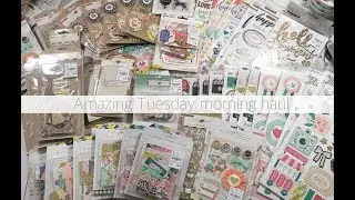 AMAZING TUESDAY MORNING HAUL