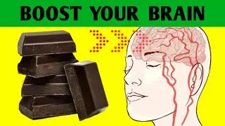 7 best foods to increase your brain power and memory
