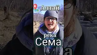 Горный Алтай река Сема. #алтай #travel #shorts #2023
