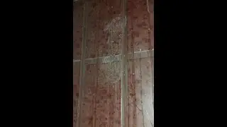 @х..евшие моздокские  мусора используют выродков подростков для освобождения квартиры.