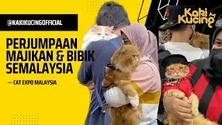 Cat Expo Malaysia | Perjumpaan Majikan & Bibik SeMalaysia 😸