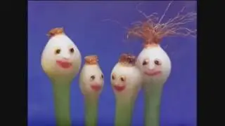 Юмор в кулинарии