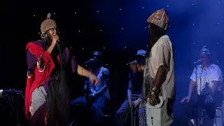 Erykah Badu performs "The Healer" at Afropunk Brooklyn 2024