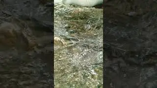 Marwa Hill- mashaallah subhanallah 