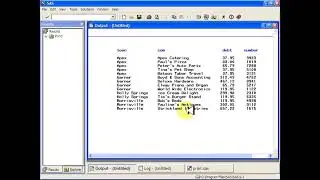 SAS- Print
