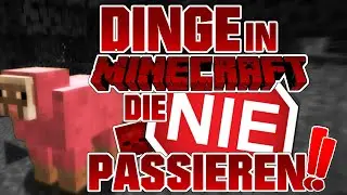 DINGE IN MINECRAFT, DIE NIE PASSIEREN!