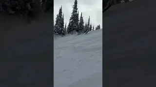 2023 Gen 5 Ski-Doo 850 