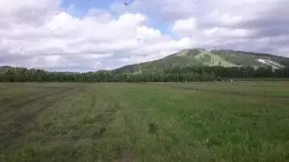 Морковь!