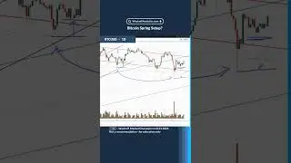 Bitcoin Spring Setup?  #wyckoffmethod