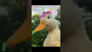 найди всё!