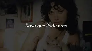 Magín Díaz, Carlos Vives & Totó La Momposina - Rosa (Danny Roma x Manrix Remix)