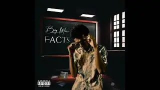 Big Mirr - Facts (Official Audio)