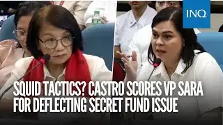 Squid tactics? Castro scores VP Sara for deflecting secret fund issue