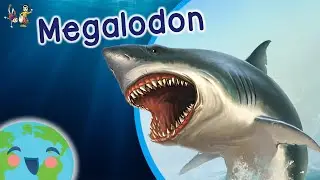 The Megalodon - Animals for Kids (Learning Videos for Kids)