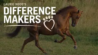 S1 Ep2:  Marty Irby — From World Champion to Influential Animal Protector