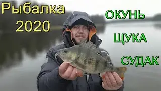 Первая РЫБАЛКА 2020 | Спиннинг с лодки на реке. First FISHING 2020 | Spinning from a boat on a river