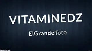 ElGrandeToto - VitamineDZ (Lyrics / Paroles)