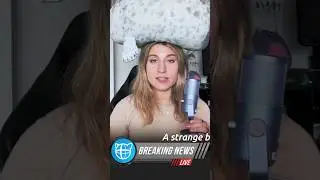 Cascadeur Breaking News - Direction Controllers #3danimation #gamedev #easyfix