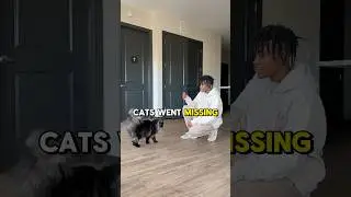My Cat went Missing and I had to Chase him 😳