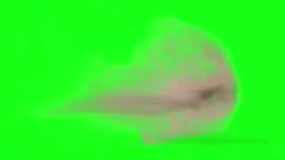 Air Gust  - Green Screen 4K Footage -02 || 2023