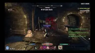 No Honour PvP {Shadow of the Hist] Velidreth Stamina Nightblade -