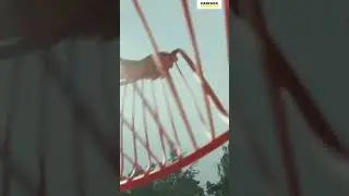 Kärcher İle Basınçlı Yıkamanın Gücünü Keşfedin!