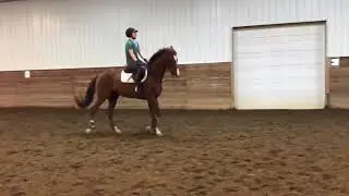 Rae   Leg Yield