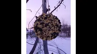 мастер-класс "Кормушка"