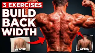 Building Impressive Lats: Top Three Movements for Latissimus Dorsi Development | Joey Thurman