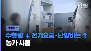 수확량 ↓ 전기요금'난방비는 ↑..농가 시름/ JIBS /제주/2024.12.23