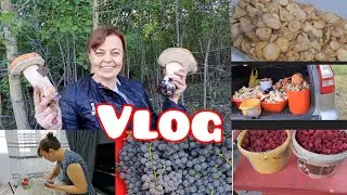 на МАНЕЖЕ ВСЕ ТЕ ЖЕ😅солим,моем,маринуем😜