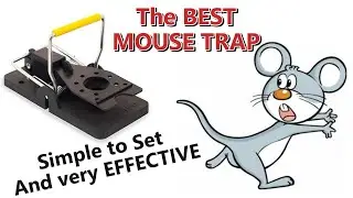 The Best Mouse Trap and How to Set it