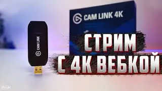 How to STREAM through the CAMERA?  We connect the camera to the computer // Elgato Cam Link 4K