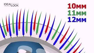 Модуль 12. Склейки при наращивании. Помощь в выделении ресниц