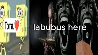 average mm2 video