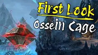 Ossein Cage Review & Feedback