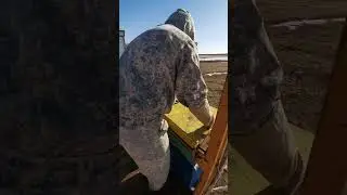 Проводим весеннюю ревизию ульев! #пасека #пасекаклимовых
