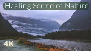 Relieve Stress, Boost Positivity, and Manifest Success - Healing Sound of Nature | Sound of River