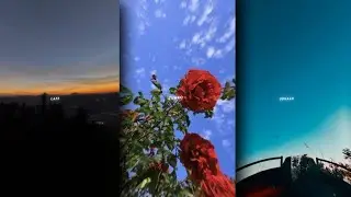 Shayaron Se Lafz Leke ✨🥀 Aesthetic Status | New Aesthetic Status🖤⚡ | #aesthetic #lofi