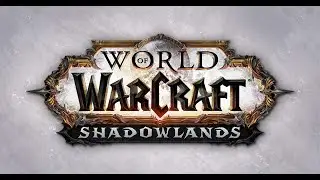 🔴Дц прист Арена 2х2 Торгаст и тд и тп World of Warcraft Shadow Lands live stream