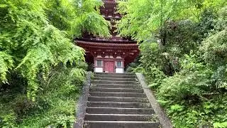 京都と奈良の境目紀行。浄瑠璃寺に行ってみた。