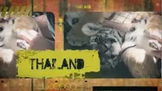 Artistic Motion Graphics Trailer (TV Show)