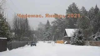 Черемас. Январь 2021.