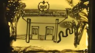 Академия31