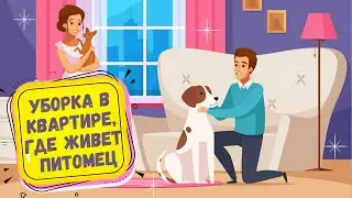 Уборка в квартире, где живет питомец