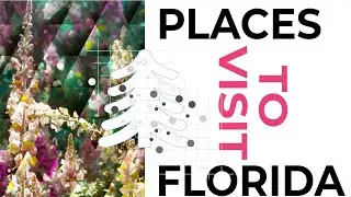 Places to Visit in Florida | Thinks to do in Florida USA